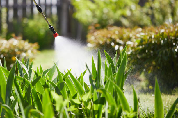 24/7 Emergency Mosquito Control experts in Fargo, ND